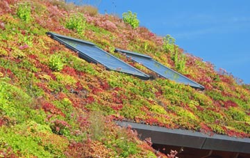 Coshandrochaid living roof systems